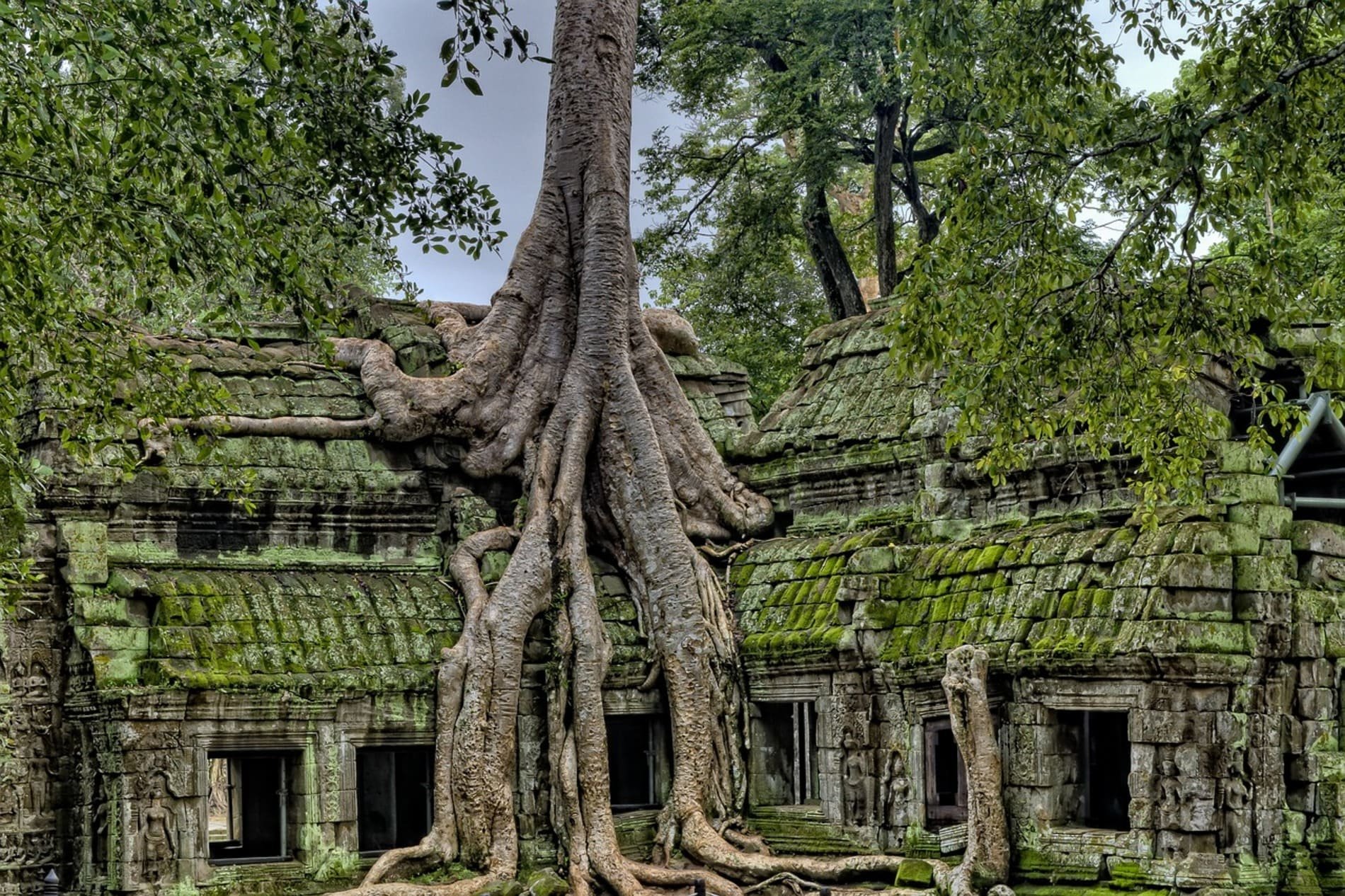 Visite le temple d'Angkor Wat