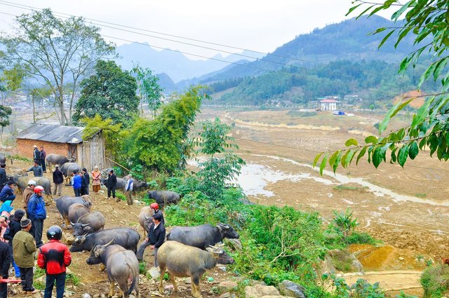 Visiter Bac Ha Vietnam