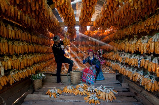 Mu Cang Chai Yen Bai Vietnam