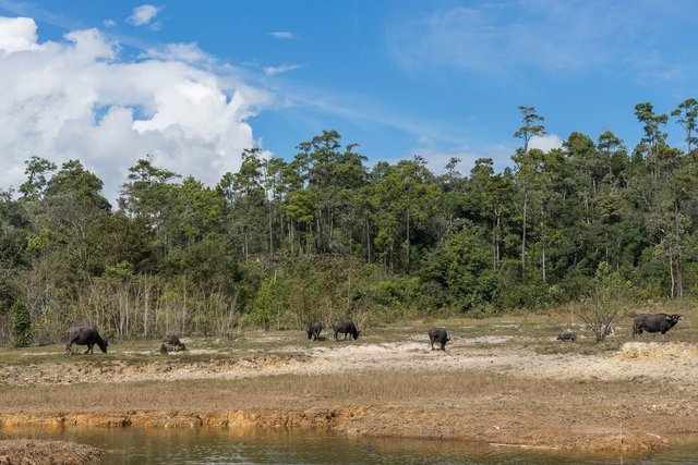 Parc National de Phou Khao Khuay Laos