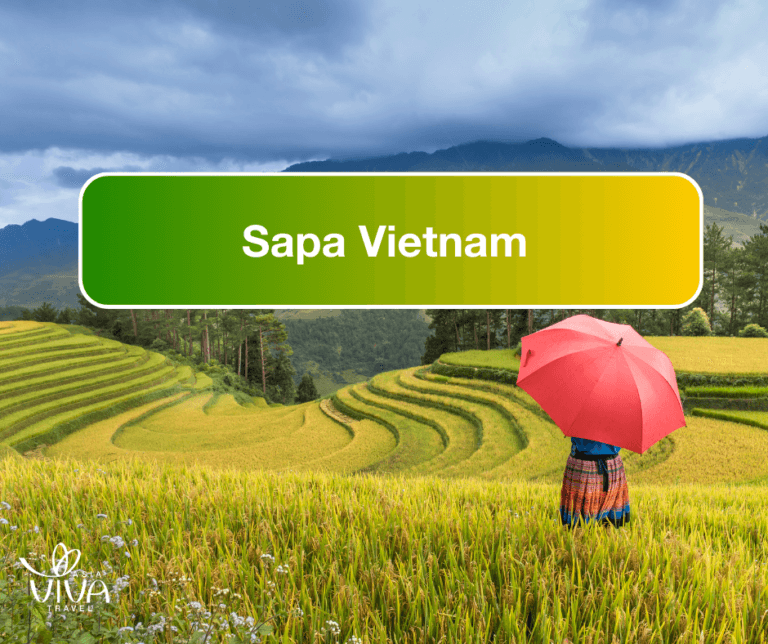 Sapa Vietnam: A place for nature lovers!