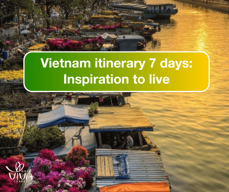 vietnam itinerary 7 days