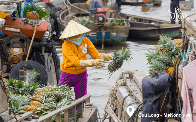 quando andare in vietnam e cambogia - Mercato galleggiante nel delta del Mekong