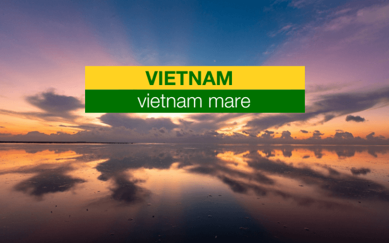 Vietnam Mare: Le Migliori Spiagge e Isole e Quando Visitare