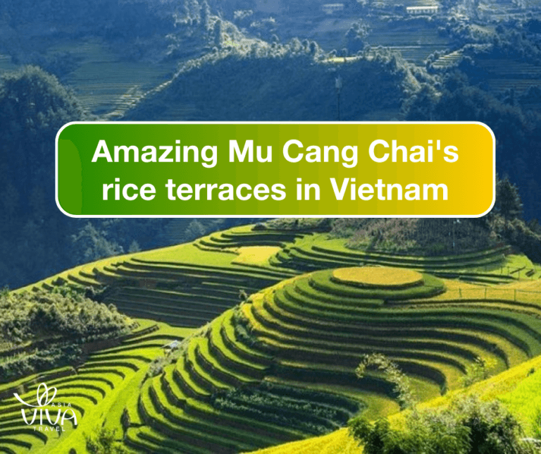 mu cang chai rice terraces vietnam