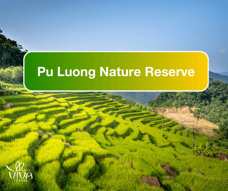 A Getaway to Nature: Pu Luong Nature reserve