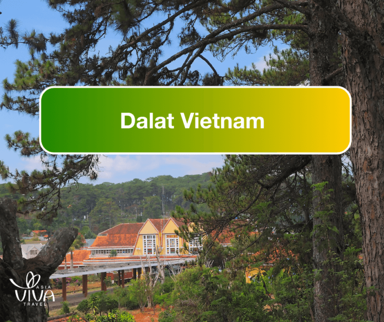 Dalat Vietnam : A hidden gem with the romantic vibe