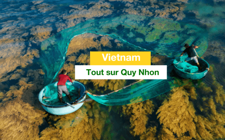 quy nhon