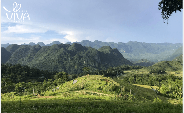 Le foreste vergini verdeggianti