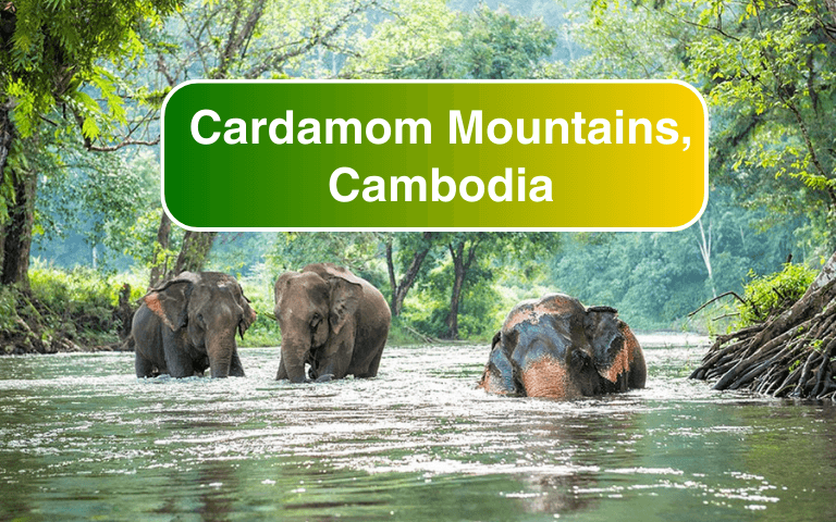 Complete Guide to Visiting the Cardamom Mountains, Cambodia