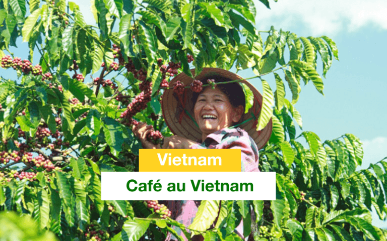 cafe du vietnam