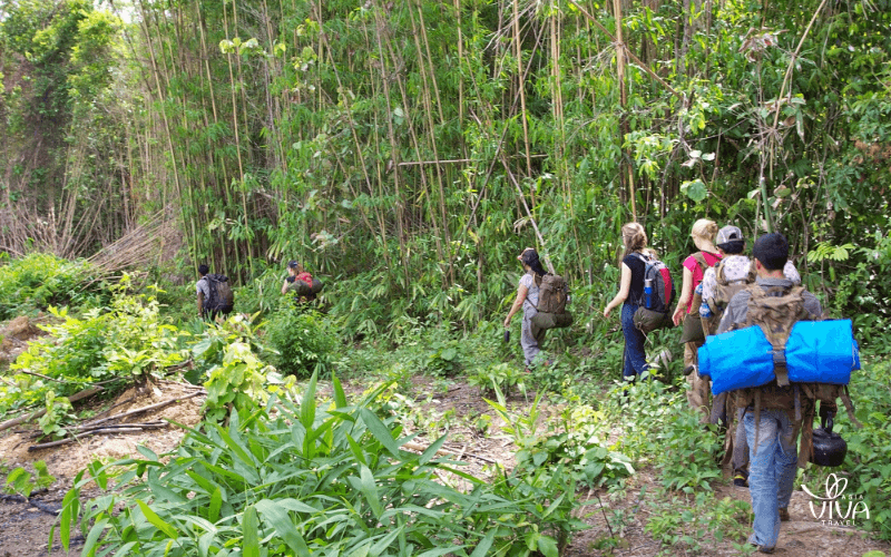 Trekking through Ratanakiri’s lush forests