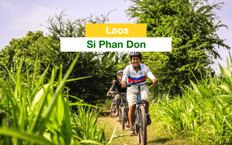 si phan don