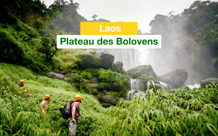 Plateau des Bolovens