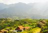 Discover the village Y Linh Ho in Sapa