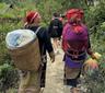Red Dao People in Ta Phin village Sapa Vietnam