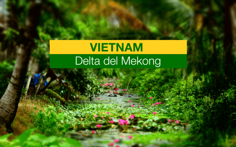 Esplora il Delta del Mekong_ Itinerari, Consigli e Tutto Quel Che Devi Sapere
