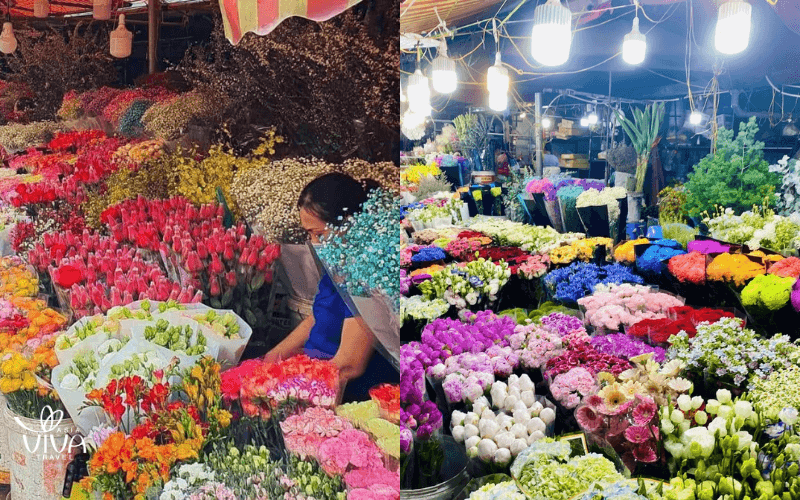 Mercato Quang Ba (Quang Ba Flower Market, Hanoi)